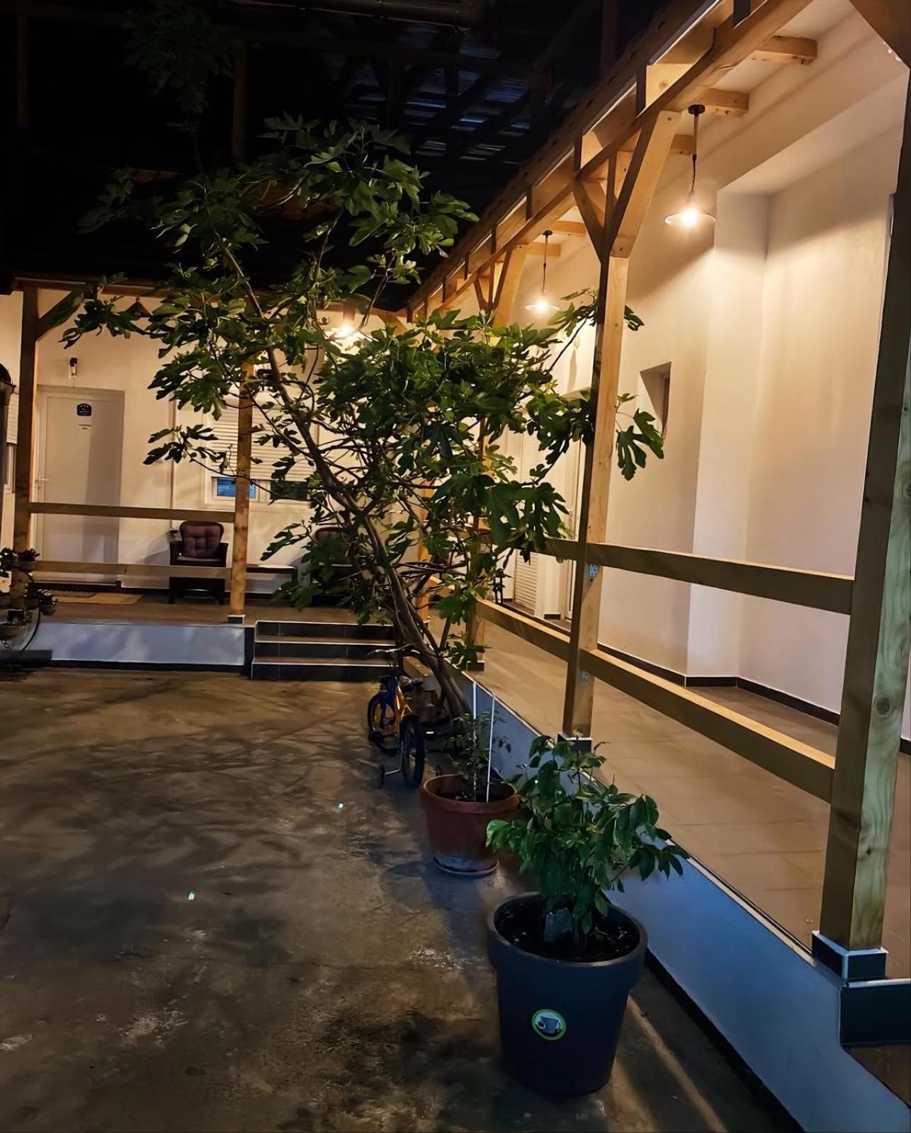 Apartman Nika Pozarevac Bagian luar foto